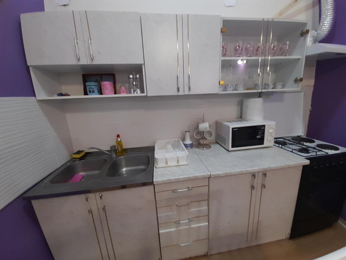 Apartman Lela Vrsac Dış mekan fotoğraf