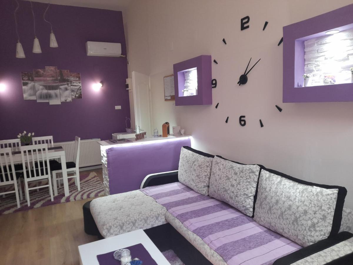 Apartman Lela Vrsac Dış mekan fotoğraf