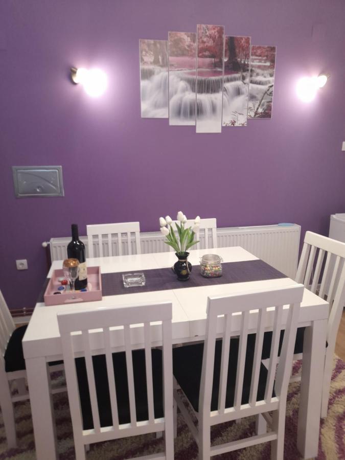 Apartman Lela Vrsac Dış mekan fotoğraf