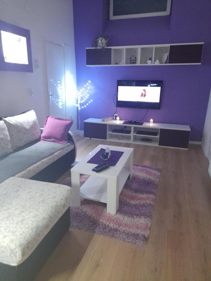 Apartman Lela Vrsac Dış mekan fotoğraf