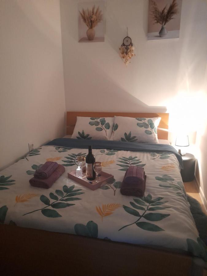 Apartman Lela Vrsac Dış mekan fotoğraf