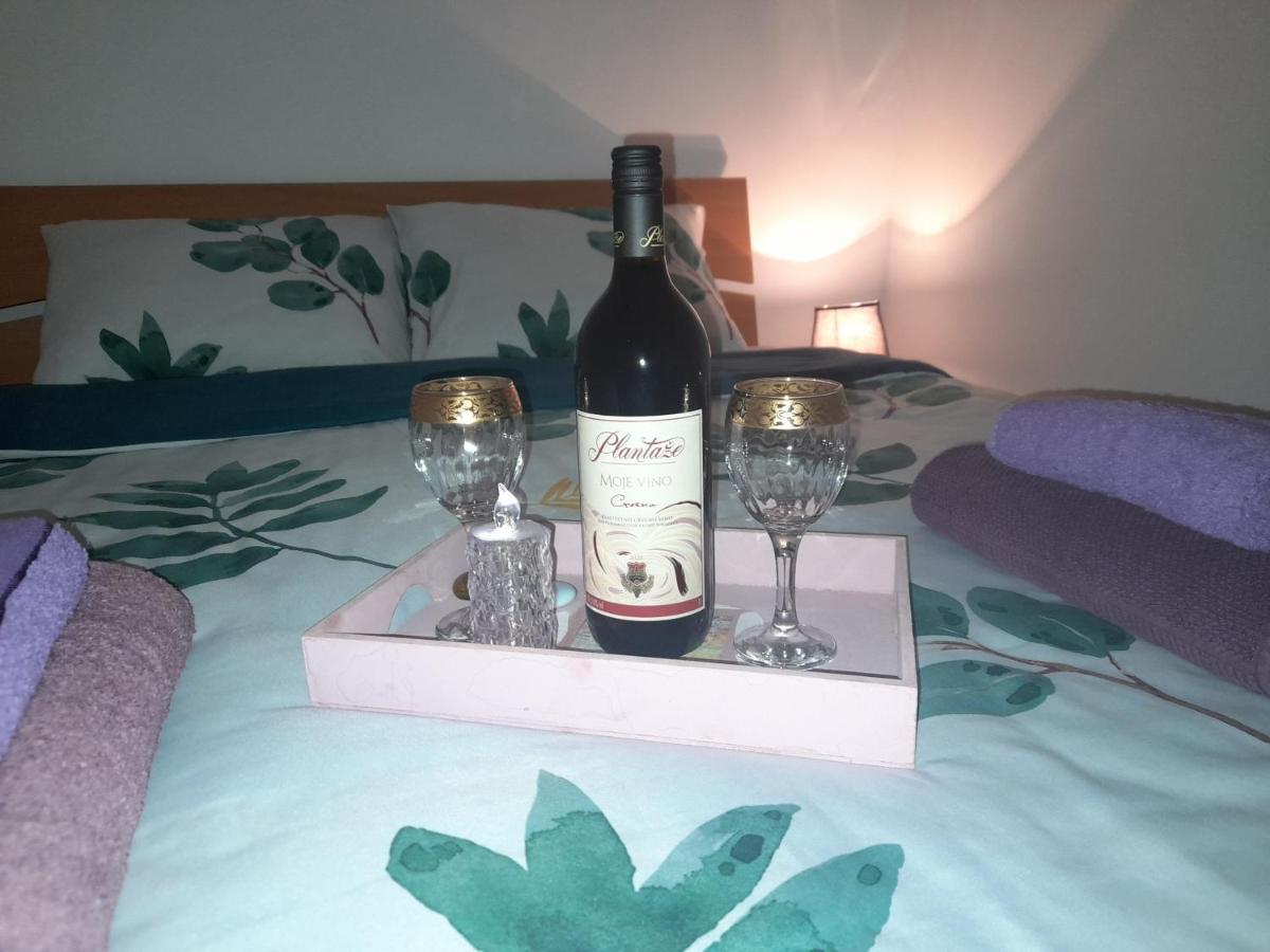 Apartman Lela Vrsac Dış mekan fotoğraf