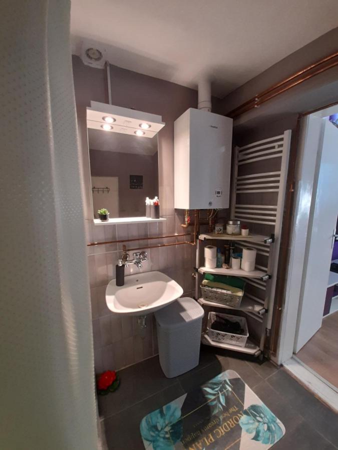 Apartman Lela Vrsac Dış mekan fotoğraf