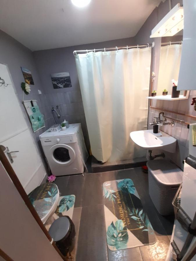 Apartman Lela Vrsac Dış mekan fotoğraf