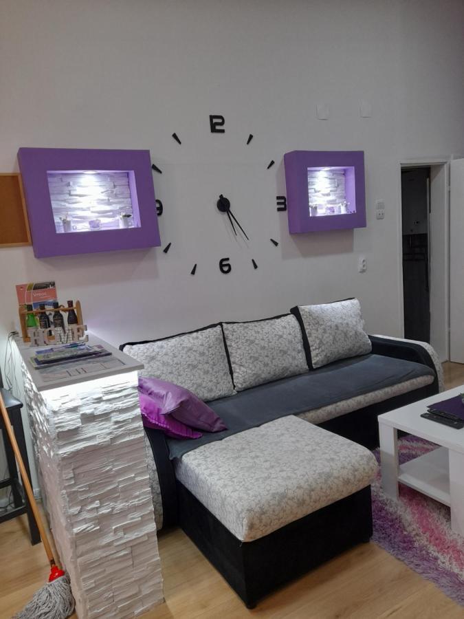 Apartman Lela Vrsac Dış mekan fotoğraf