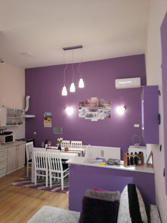 Apartman Lela Vrsac Dış mekan fotoğraf