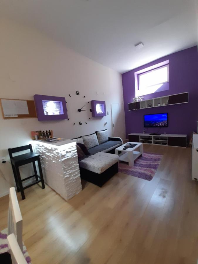 Apartman Lela Vrsac Dış mekan fotoğraf