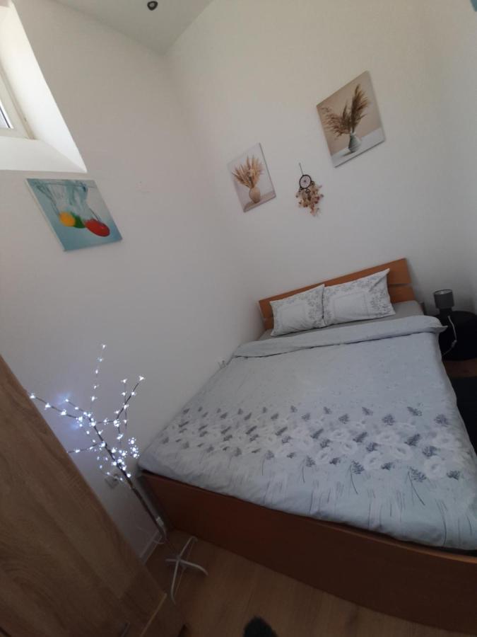 Apartman Lela Vrsac Dış mekan fotoğraf